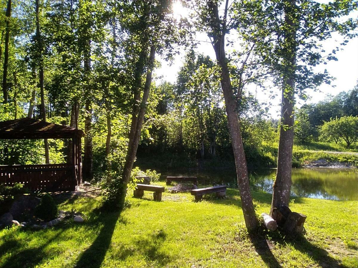 Alisa Kviecia. Villa Juodalaukiai Ngoại thất bức ảnh